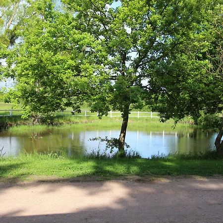 Le Domaine Du Mijarnier Bed and Breakfast Montbeugny Esterno foto