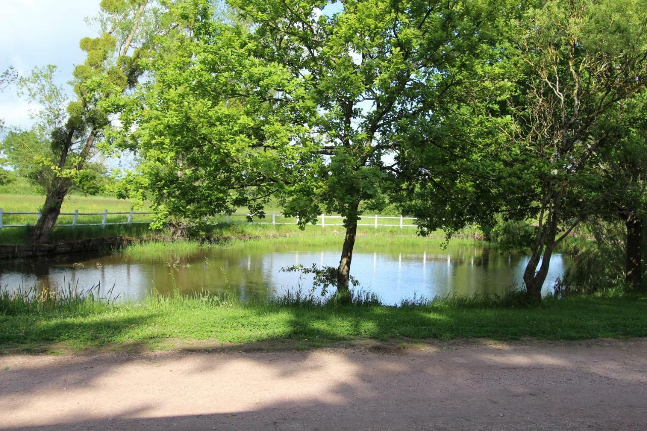 Le Domaine Du Mijarnier Bed and Breakfast Montbeugny Esterno foto