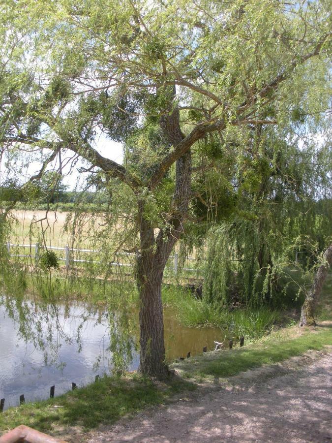 Le Domaine Du Mijarnier Bed and Breakfast Montbeugny Esterno foto