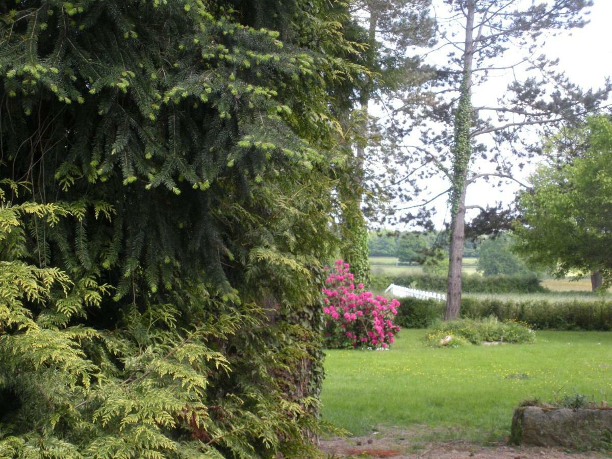 Le Domaine Du Mijarnier Bed and Breakfast Montbeugny Esterno foto