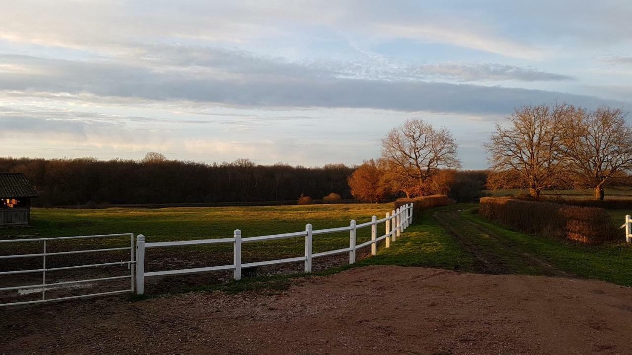 Le Domaine Du Mijarnier Bed and Breakfast Montbeugny Esterno foto