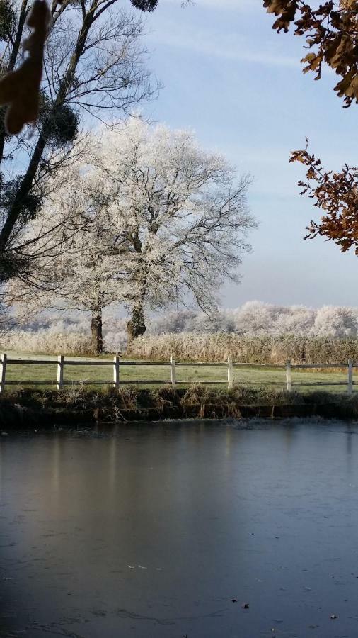 Le Domaine Du Mijarnier Bed and Breakfast Montbeugny Esterno foto